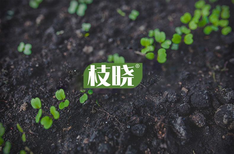 E-_工作_园艺D_园林圆盘_澳莉嘉详情页-园林固定架（无水