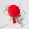 Llavero colgante con letra de pieza de fruta de resina transparente transfronteriza, llavero colgante de bola de pelo roja de moda personalizado