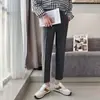 Pantalones Casuales de Traje para Hombre Verano 2024 Nuevos de Seda de Hielo con Caída Elegantes Rectos Versátiles para Hombre