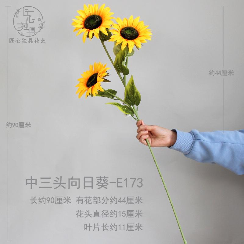 中三头向日葵 E173