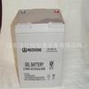 Shenzhen Huizhong Batería 6-GFM-55 Libre de Mantenimiento 12V55AH Pantalla DC EPS 6-GFM-55