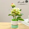 Bonsái artificial de peonía de dos cabezas personalizado adorno creativo para decoración del hogar decoraciones de flores de simulación dropshipping plantas verdes plantas en maceta de simulación