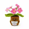 Planta en maceta de muñeca más vendida de Amazon, adorno de muñeca de hilo tejido a mano, flor, muñeca con tarjeta emocional de consuelo positivo
