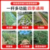 Novo Suporte de Estufa de Aro Pequeno Sólido Estrutura de Treliça para Pepino Feijão Vegetal Haste de Suporte Haste de Fibra de Vidro para Horta Plantio