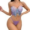 Conjunto de lencería de dos piezas con parte superior de tubo, bordado de mariposas, fino y sexy, con perspectiva de malla, para mujer, suministro transfronterizo europeo y americano