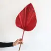 Flores Secas Coloridas Folhas de Azevinho Folhas de Palmeira Materiais para Arranjo de Flores Estilo Nórdico Styling de Casamento Folhas Decorativas Aço Inoxidável