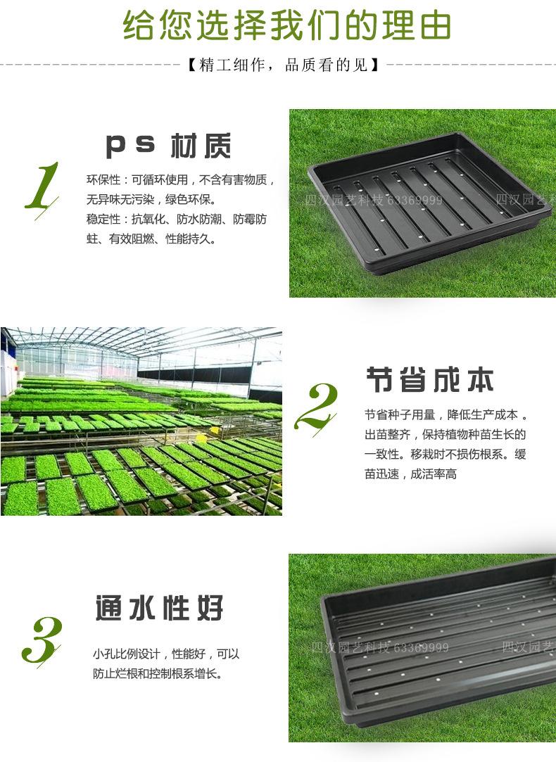 育苗托盘_05.jpg