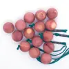 Bola de Madera de Cedro Rojo 35mm Bola de Madera Fragante Desodorizante para Zapatero Bola Redonda Colgante para Vestidor Difusor de Madera Bola de Madera