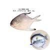 Simulación pez de agua dulce langosta cangrejo lubina osmanthus palometa dorada modelo real PU pez falso accesorios de extensión carpa dorada dragón