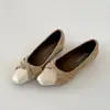 Zapatos de vestir de punta fina para mujer, de tacón oculto bajo, boca poco profunda, de red, estilo retro francés, suela suave, Mary Janes, verano 2026, nuevos