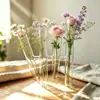 Planta Minimalista Tubo de Ensayo Hidropónico Maceta de Vidrio Colgante Recipiente de Vidrio Florero de Pared Cultivo