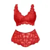 Conjunto Europeu e Americano Transfronteiriço Sexy de Lingerie Renda Camisola Shorts Tamanho Plus Meia-Noite Apaixonada Transparente para Provocar