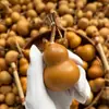 Ventas Directas de Fábrica de Calabazas de Juguete Naturales, Pequeños Adornos de Oficina, Calabazas con Grifo, Mangos de Juguete, Al por Mayor