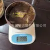 Yuetai Cuenco Natural de Cáscara de Coco Celebridad de Internet Cuenco para Helado Cuchara Cuenco para Ensalada Tenedor Cuenco Rayado Madera de Coco