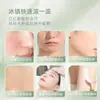 Rolo de Gelo Rolo de Gelo Fábrica de Microagulhas Atacado Instrumento de Aplicação Facial Instrumento de Beleza Manual Massagem Facial Corporal