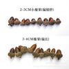 [palo de mano pequeña bellota] bellota flor seca fruto de avellana fruto flor seca material DIY bellota con capucha