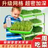 Placa de siembra con recarga automática de agua Brotes de soja vegetales Placa de germinación de semillas de vegetales de doble capa Placa de plántulas de brotes Maceta hidropónica