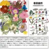 Marcapáginas de flores secas especímenes colección de primavera en botella de película plástica materiales hechos a mano para manualidades estudiantes de primaria flores transparentes
