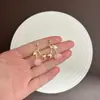 Brincos de Cereja Doce Estilo Francês, Populares na Europa e América, Delicados e Elegantes, Luxo Leve, Brincos Modernos e Versáteis