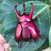 Escarabajo de Combate Simulado de Liquidación Transfronteriza Modelo de Insecto Unicornio Juguete Educativo para Niños Gateo Simulado