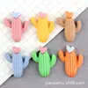 Pegamento Crema de Cactus Accesorios de Resina DIY Accesorios para el Cabello de Suculentas en Maceta Tocado Planta Corazón Funda para Teléfono Móvil Material DIY