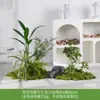 Musgo Sintético Decoración Suave para Interiores Conjunto de Micro Paisaje Combinación Exhibición en Ventana Pasillo Musgo Artificial Plantas Verdes Arreglo de Paisajismo Decoración