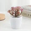 Mango de Invierno Oficina Decoración de Escritorio Interior Planta en Maceta Maceta de Cerámica Cubo Pequeño Mini Planta Suculenta Más Vendido en Amazon