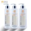 360Ml420Ml500Ml Grande Capacidade Redondo Reto Pet Pcr Ecologicamente Correto Degradável Cabeça Bomba de Pressão Frasco para Cuidados com o Corpo
