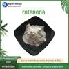 Extração de raiz de rotenona 98% rotenona em estoque fornece pó de rotenona biológico elegante 100 g / saco