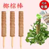 Poste Trepador de Fibra de Coco Columna de Soporte para Plantas Verdes con Estaca Puntiaguda Atractora de Raíces de Fibra de Coco, Soporte para Dar Forma a Monstera, Suministros para Floristería