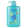 Control de Grasa Voluminizador Cuidado en Casa Anticaspa Té Verde Nutrición Profunda Fragancia a Orquídea Champú 1000ml Mayoreo