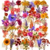 50 novos adesivos PET para diário de carta de amor floral transfronteiriça em cores de outono, apresentando buquê de flores eternas e elementos de papel de carta vintage