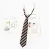 Gravata Listrada Marrom Feminina Estilo College Estilo Japonês JK Estilo Preguiçoso Decoração de Camisa Grátis Gravata de Mão DK Masculina Casual
