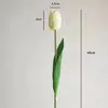 Flor artificial que contiene Yang, sensación hidratante, tulipán, flor artificial, decoración, sala de estar, sosteniendo flores, foto, rosa, blanco
