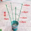 Treliça de Escalada para Plantas para Rosas, Plantas Garra de Caranguejo e Plantas Verdes; Suporte de Flores de Escalada para Plantas Verdes de Varanda Expansível de Três Camadas