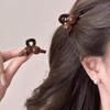 Acrílico Ámbar Pinza Pequeña de Agarre para Mujer Cabeza de Princesa Flequillo Cabello Roto Pinza Lateral Elegante Pinza de Tiburón Horquilla Tocado