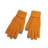 Guantes cálidos de invierno para estudiantes masculinos y femeninos, jacquard de fábrica directo, con pantalla táctil, forro polar grueso para amantes