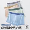 Ropa Interior Juvenil Masculina Bacteriostática de Algodón Puro Pantalones tipo Boxer para Estudiantes de Secundaria y Preparatoria en talla extra grande Período de Desarrollo