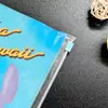 Bolsa de Hojas Sueltas de PVC de Dibujos Animados Personalizada Transparente Estampado Completo Plástico Blando Bolsa de Almacenamiento de Hojas Sueltas para Efectivo y Recibos Bolsa con Cremallera