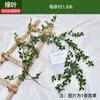 Enredaderas de Rosas, Rosas Trepadoras, Decoraciones para Calefacción Interior, Enredaderas de Flores para Cubrir Paredes, Plantas Verdes