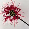 Horquilla de estilo pastoral con forma de estrella y flor de Bianhua, estilo antiguo de hada, con clip lateral Hanfu.