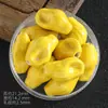 Conto de Fadas Fofo Contas de Cerâmica de Concha Buraco Reto Pulseira Colar Contas Soltas Joias DIY Caseiras Acessórios Contas de Mão