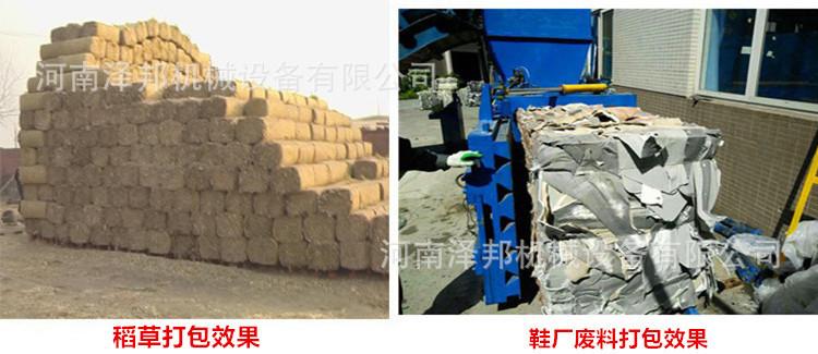 6005878869_1710343434