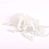 Impresión 3D escarabajos peloteros escarabajos unicornio hada articulación integrada modelo móvil adornos mano transfronterizo