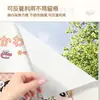 Adesivo de Vidro para Janela de Banheiro Desenho Animado, Translúcido, Impermeável, Película Anti-Olho Gordo, Película Eletrostática Fosca