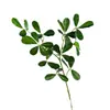 Hojas de gardenia artificiales, plantas verdes de madera de caballo, ramas de plantas verdes artificiales, ramas de árbol, productos terminados para decoración de bodas y arreglos florales