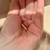Pendientes de Lujo de Gama Alta para Mujer, Color Rojo Rosado Brillante con Incrustaciones de Diamantes, Popular en Xiaohongshu, Nuevos y Versátiles Clips para Orejas y Accesorios para Orejas