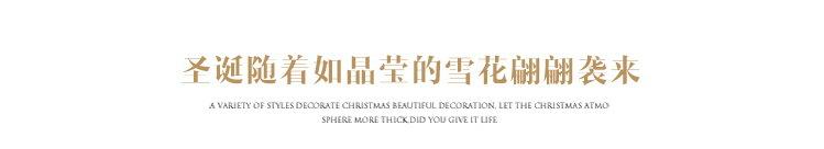 圣诞随雪花到来.jpg