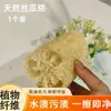 Cepillo para Lavar Platos de Lufa Natural, Herramienta de Limpieza de Cocina Antiadherente para Grasa, Tienda Departamental Transfronteriza de Lufa, Estropajo de Pulpa de Lufa