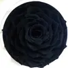 Rosa Eterna Gigante de 10-12 cm Rosa Preservada Flor Eterna Navidad Tanabata Día de San Valentín Regalo de Cumpleaños